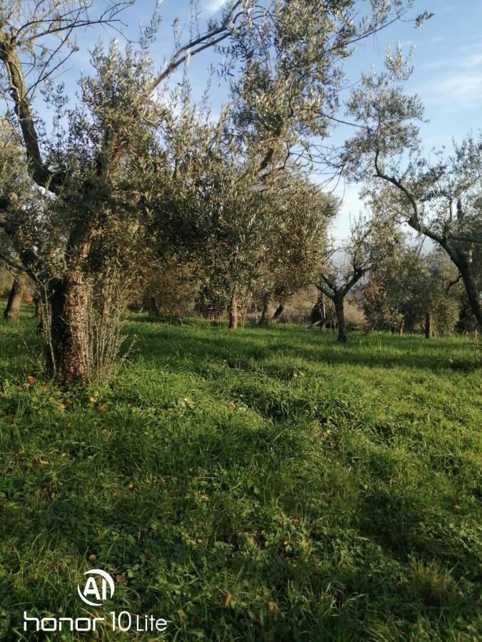 Appartamento Serenella Maenza Eksteriør bilde