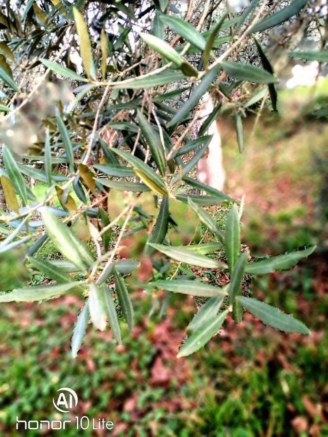 Appartamento Serenella Maenza Eksteriør bilde